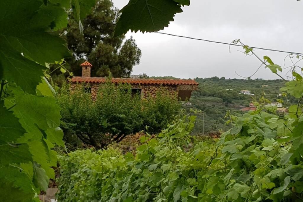 La Tagora Conect With The Nature & Relax Icod De Los Vinos Eksteriør bilde