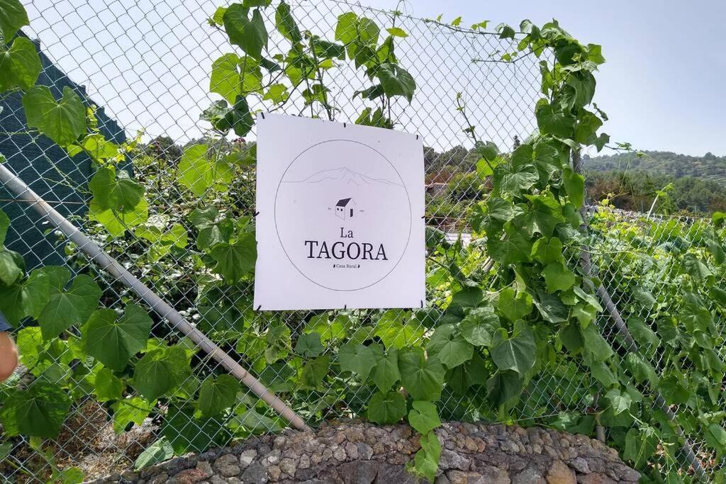 La Tagora Conect With The Nature & Relax Icod De Los Vinos Eksteriør bilde